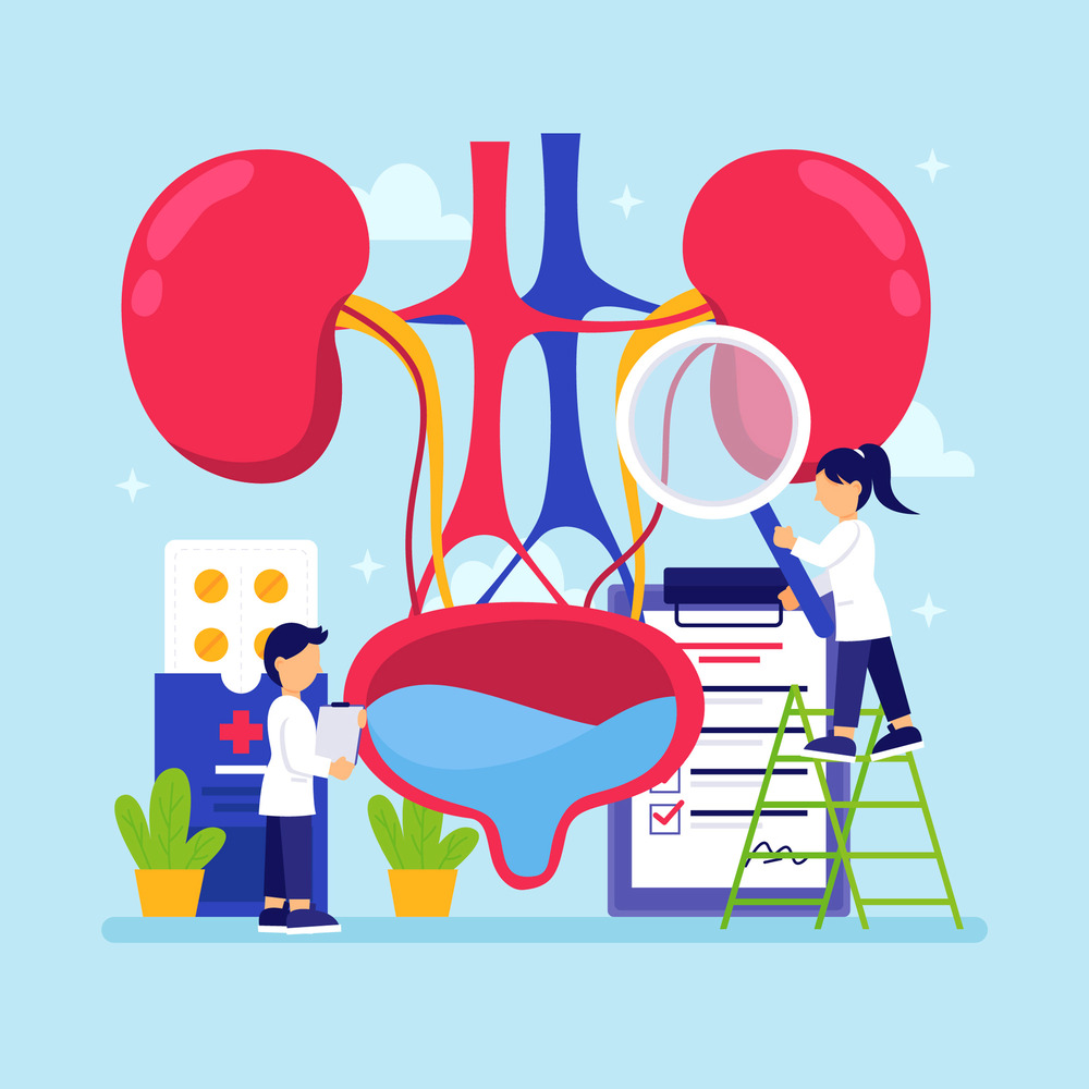 Kidney Health